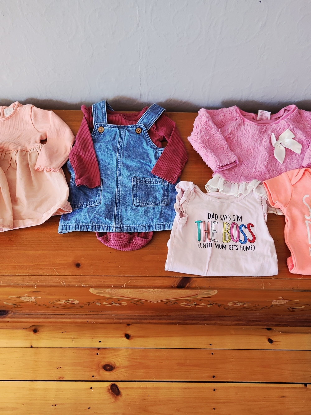 6-9 Month Baby Girl Bundle